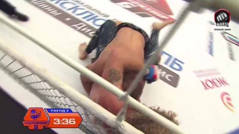 Вячеслав василевский мэтт хорвич