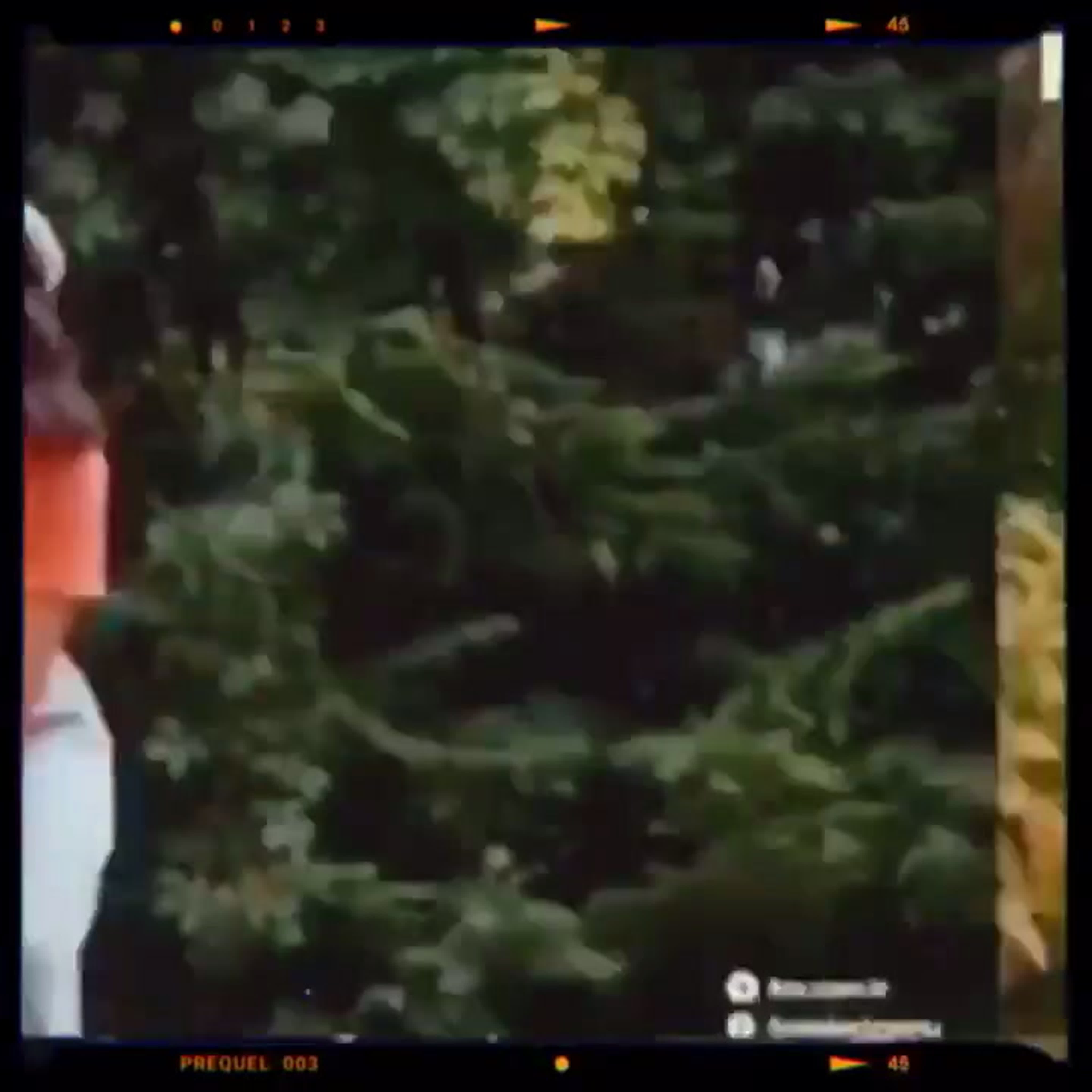 a woman in an intimate setting