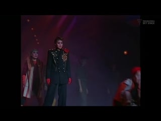 Takarazuka chronicle (19931995)