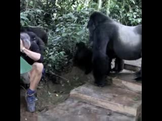 I shit my pants watching this guy shitting his pants