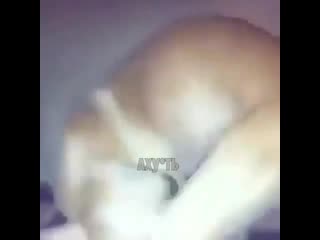 Отправь одинокому другу