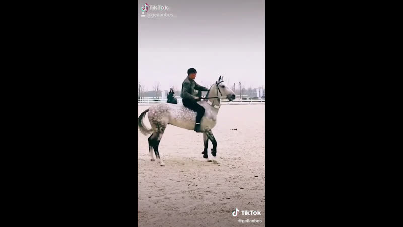 Настоящий батыр