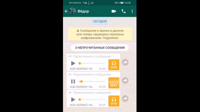 Опубликовал голосовые сообщения, как утверждается, начальника участковых города из умвд новосибирска елены устиновой