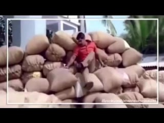 Fan video "saamy" chiyaan vikram & trisha krishnan