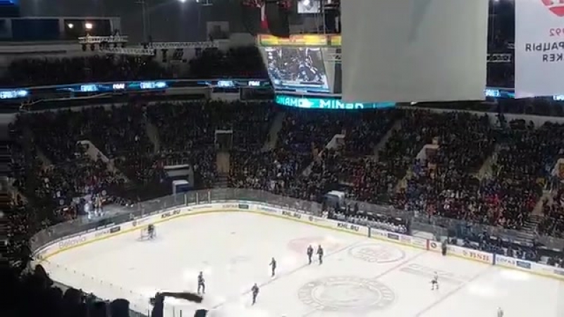 «аргентина – ямайка» в исполнении болельщиков минского «динамо»