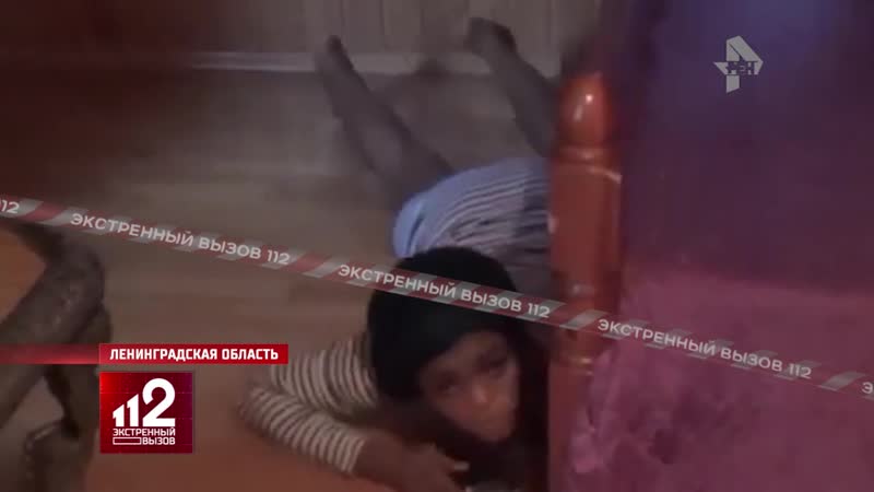 "проститутки" прятались под кроватями)
