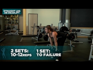 Beginner legs abs workout labrada lean body training program day 17
