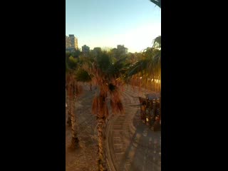 Vid 20210114 083531 mp4