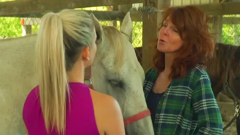 Конный лагерь история любви (2020)