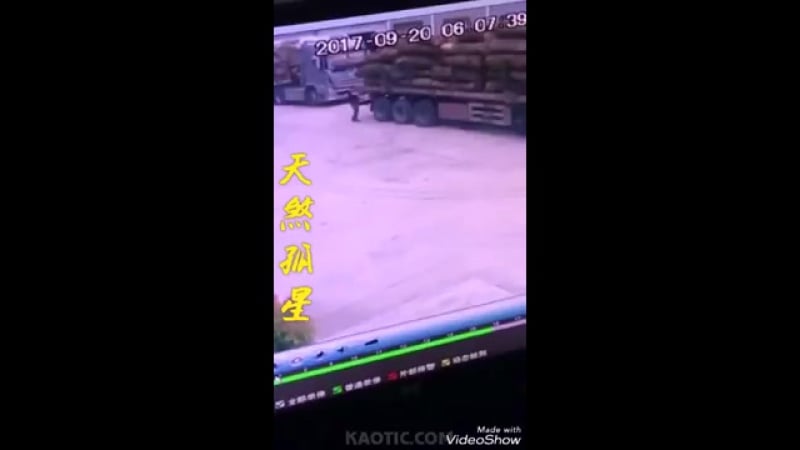 Трэшняк бревном оторвало голову