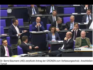 Shvid die grünen hetzer und die fdp rufmörder im parlament (wie viel tiefer sinken geht's denn noch!?)