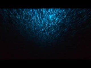 Armin van buuren gaia tuvan (480p) mp4