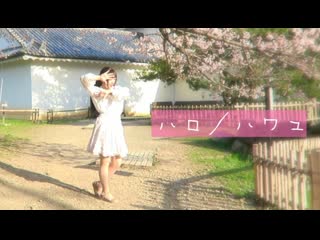 ~【kawaiikana】ハロ／ハワユ踊ってみた【桜動画２個目☆】 niconico video sm40385785