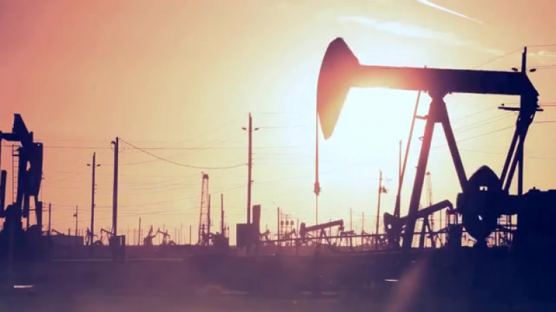 Компания petro canada lubricants
