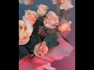 Rosa “sandstorm”