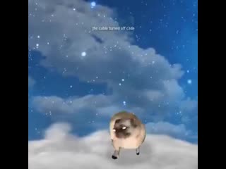 Fuc it pug vibin to sh boom