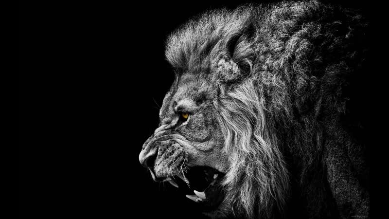 Набираем обороты! стрим playerunknown's battlegrounds