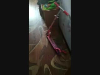 Vid 20181211 145414 mp4