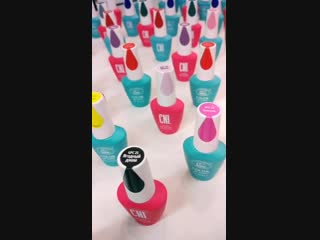 Adele challenge cni mp4