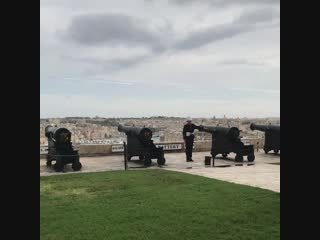 Malta has been defending its shores from pigeons since 1802