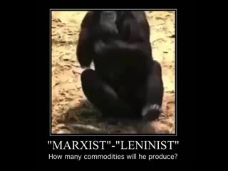 "marxist" "leninist" in a wild