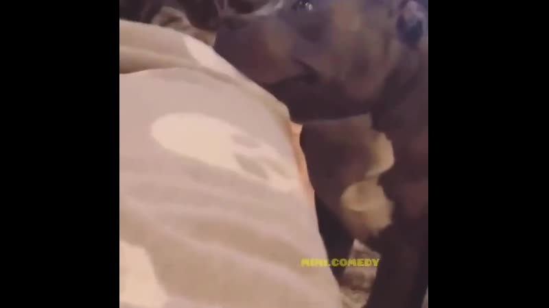 Милоты пост