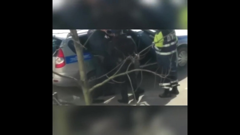 Орша дед против гаи