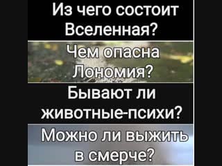 Video 20190104 024607246 mp4