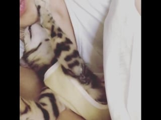 Ig jj 1986 jj (ким джэджун и его крошка)