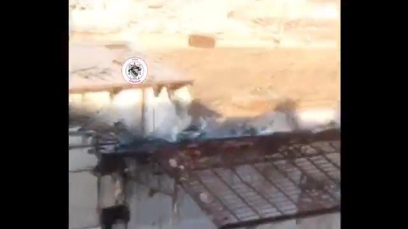 Т 72 сирийской республиканской гвардии, в восточной гуте, февраль 2017 г