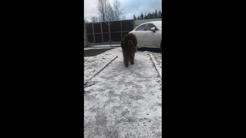 Обниматься ? бегу конечно 😍 обнимашки целовашки любимое занятие