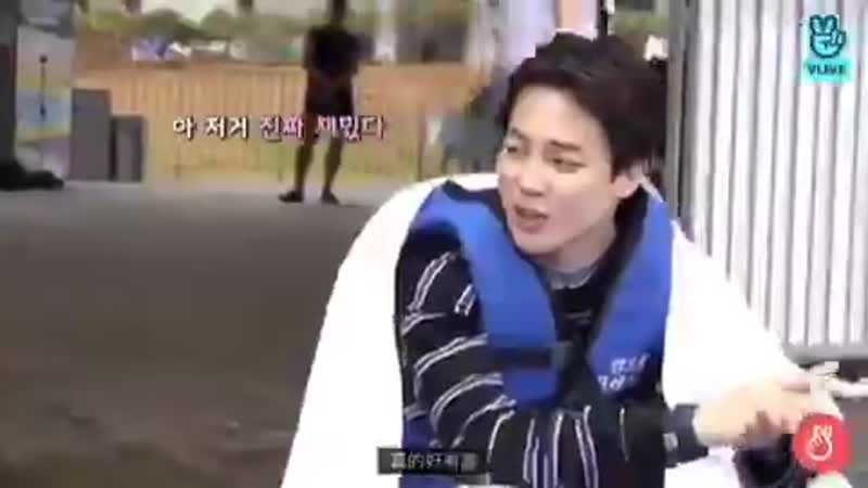 Посмотрите на этих двоих котят