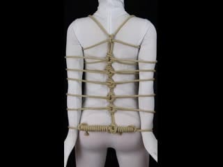 Dragonfly harness