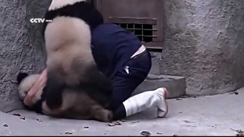 Братухи борцухи