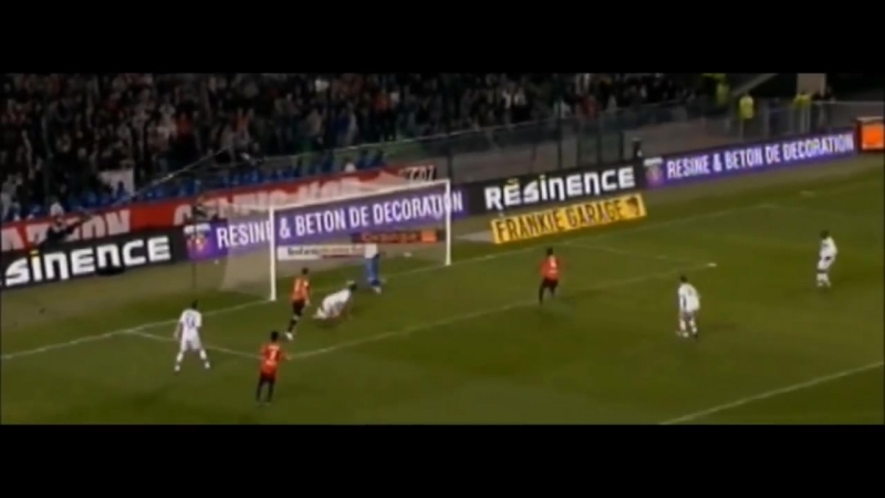 Olympique lyonnais ● the best goalkeepers in france ● 2000 2016
