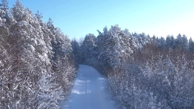 Любимым бабушкам и дедушкам