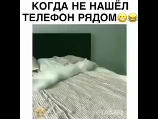 Smeshnoe video (720p) mp4