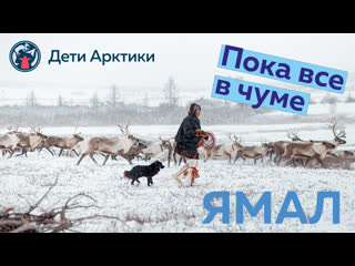 Ямал