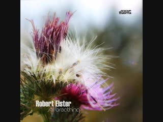 Robert elster antenna (video cut)