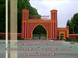 Профориентационный ролик