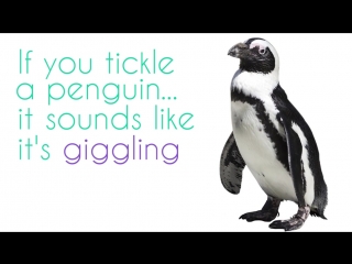 9 cute facts thatll make you want a hug