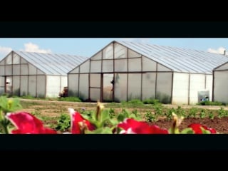 Питомник цветет в волгограде