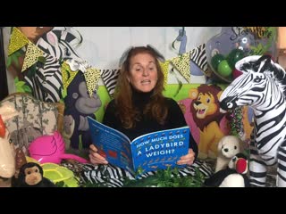 Sarah ferguson reading how much does a ladybird weigh? by alison limentani