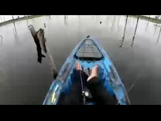 Знатный улов😧👍