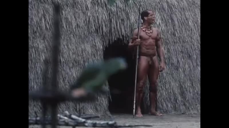 О каннибалах ✦ ганс штаден ✦ драма ✦ биография ✦ история ✦