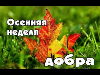 Салют добру