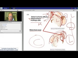 4th lecture kaplan step 1 ca neuroscience white may 29, 2015