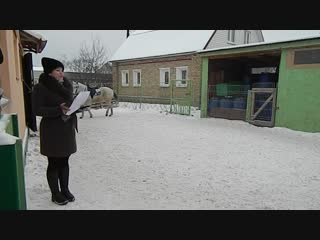 Конные забавы 2018 немного о нашем клубе))