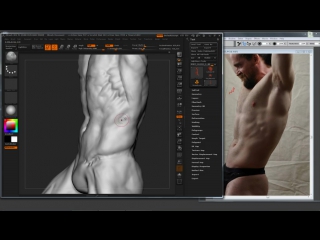 Steve lord «refinemening left ex obliques and serratus» (part 40/82)