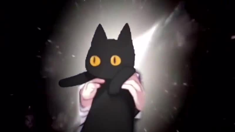 Hk416's cat goes brrr